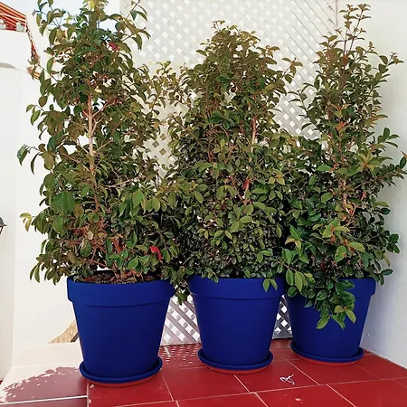 Apartament Topfloor Corner Panoramics Views & Pools *