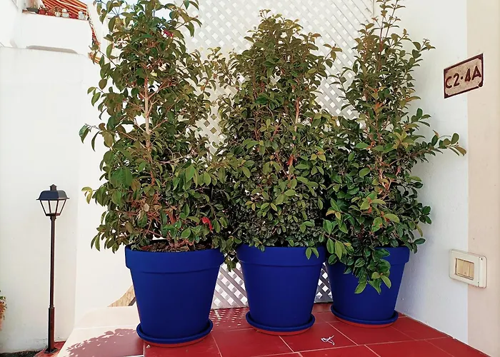 Apartment Topfloor Corner Panoramics Views & Pools *